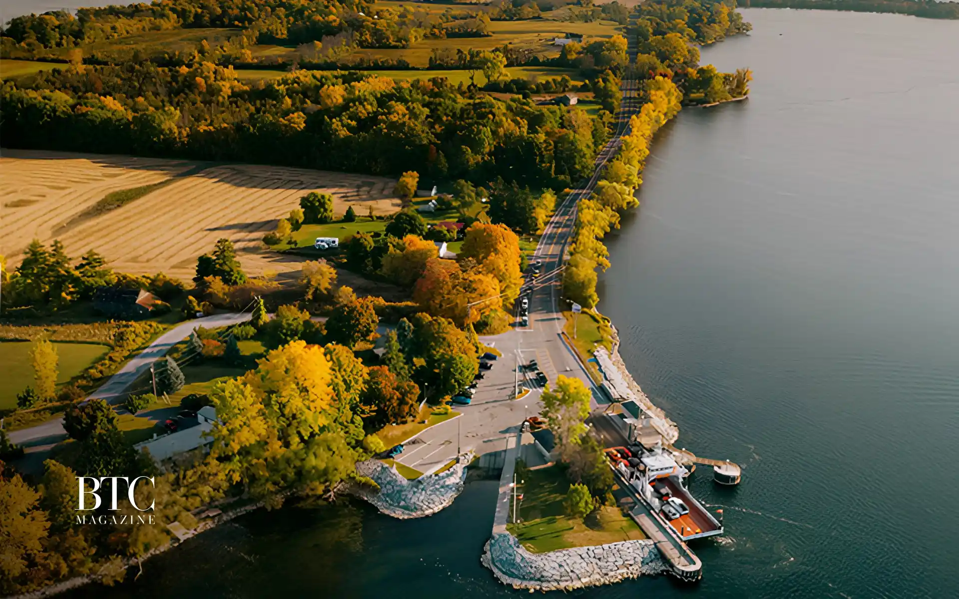 Rolling vineyard golden hour Prince Edward County